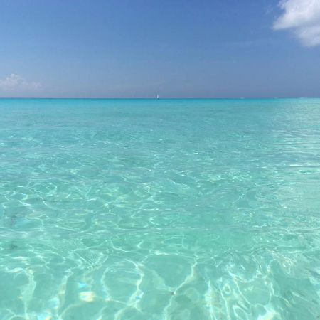 B&B Villa Hibiscus Playa del Carmen Exteriör bild