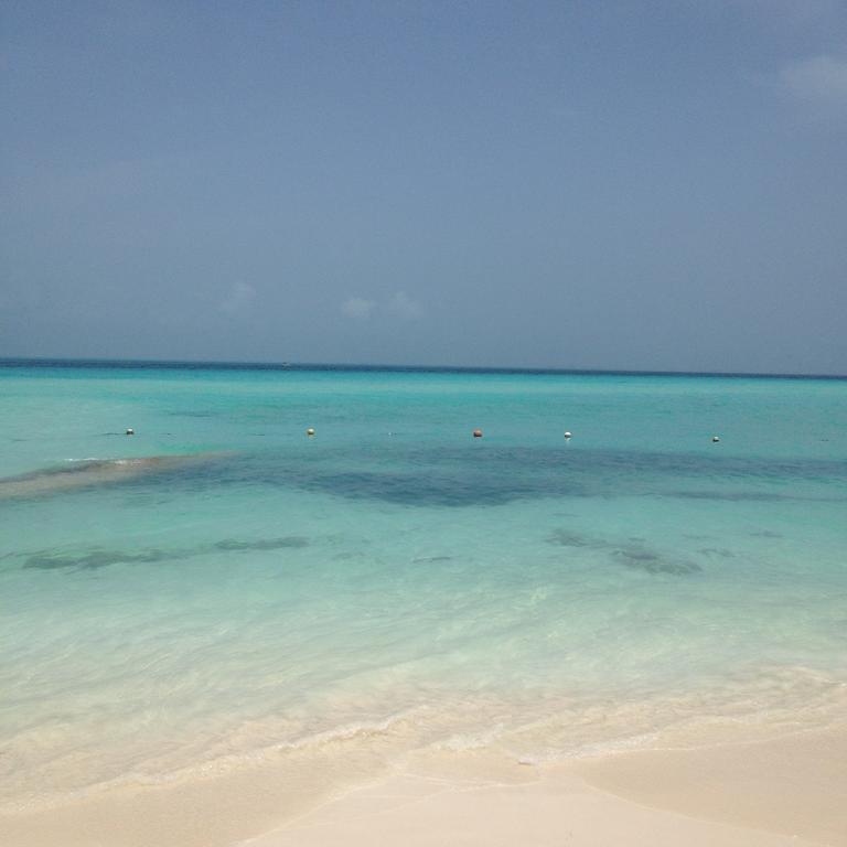 B&B Villa Hibiscus Playa del Carmen Exteriör bild