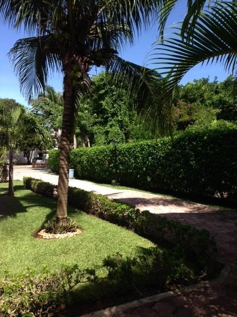 B&B Villa Hibiscus Playa del Carmen Exteriör bild