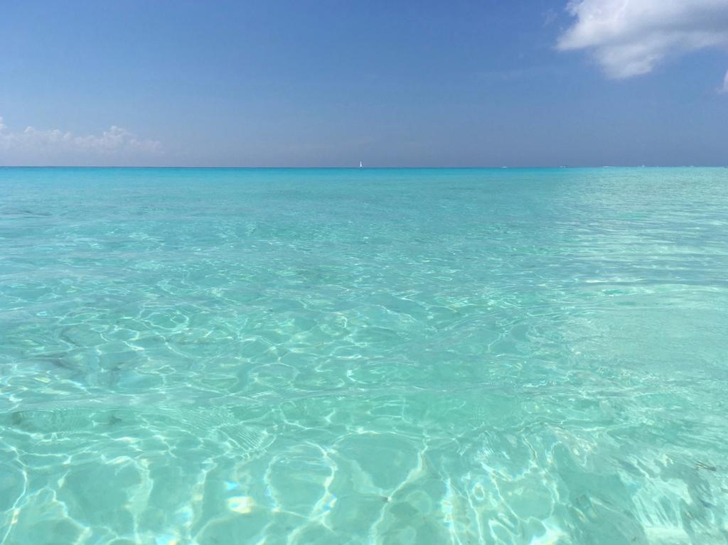 B&B Villa Hibiscus Playa del Carmen Exteriör bild
